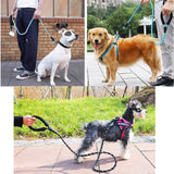 Strong and Sturdy Dog Leashes, Various Sizes