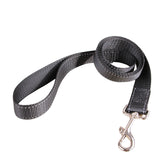 Durable and Retractable Pet Leashes, Various Sizes