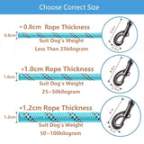 Strong and Sturdy Dog Leashes, Various Sizes