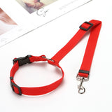 Adjustable 2 In 1 Pet Leash and Vehicle Harness