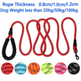 Strong and Sturdy Dog Leashes, Various Sizes