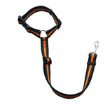 Adjustable 2 In 1 Pet Leash and Vehicle Harness