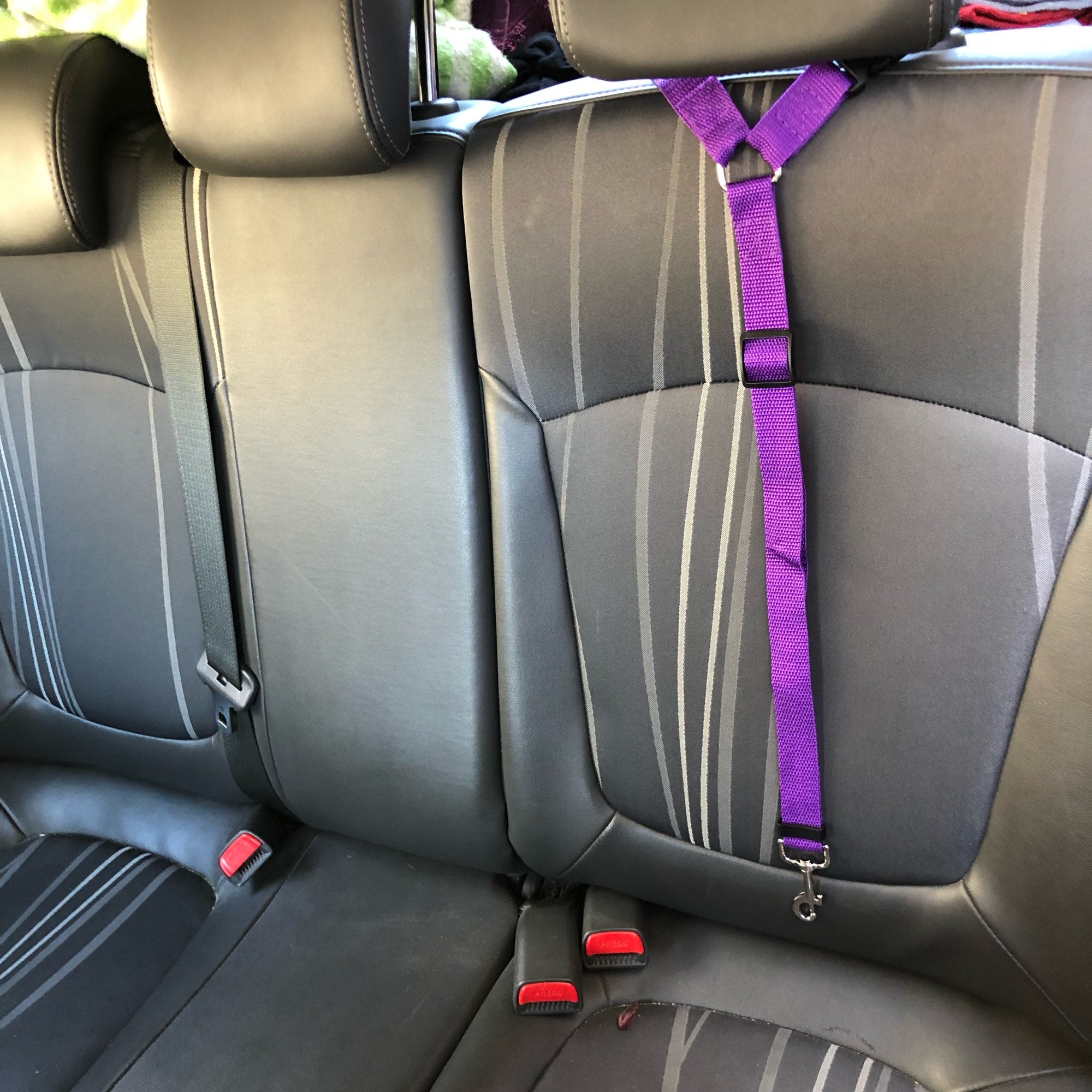 Adjustable 2 In 1 Pet Leash and Vehicle Harness