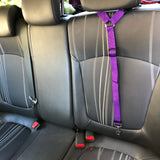 Adjustable 2 In 1 Pet Leash and Vehicle Harness