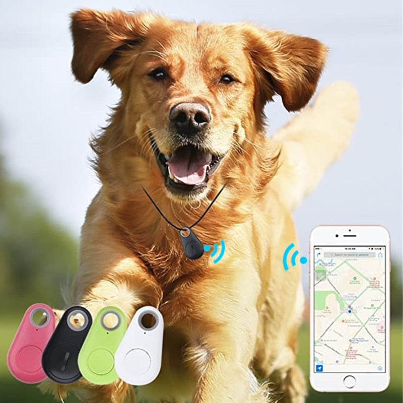 Bluetooth Smart GPS Tracker/Locator for Pets