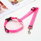 Adjustable 2 In 1 Pet Leash and Vehicle Harness