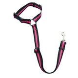 Adjustable 2 In 1 Pet Leash and Vehicle Harness