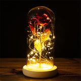 Valentine's Day-Encased Rose with LED light-Various Colors