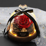 Valentine's Day-Encased Rose-Various Designs and Colors