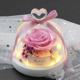 Valentine's Day-Encased Rose-Various Designs and Colors