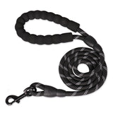 Strong and Sturdy Dog Leashes, Various Sizes