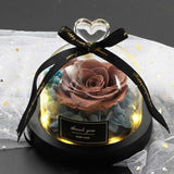 Valentine's Day-Encased Rose-Various Designs and Colors