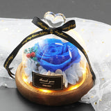 Valentine's Day-Encased Rose-Various Designs and Colors