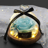 Valentine's Day-Encased Rose-Various Designs and Colors