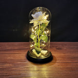 Valentine's Day-Encased Rose with LED light-Various Colors