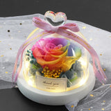 Valentine's Day-Encased Rose-Various Designs and Colors