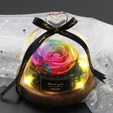 Valentine's Day-Encased Rose-Various Designs and Colors