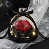 Valentine's Day-Encased Rose-Various Designs and Colors