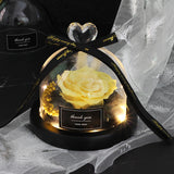 Valentine's Day-Encased Rose-Various Designs and Colors