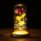 Valentine's Day-Encased Rose with LED light-Various Colors