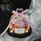 Valentine's Day-Encased Rose-Various Designs and Colors