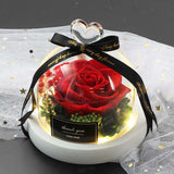 Valentine's Day-Encased Rose-Various Designs and Colors