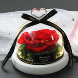 Valentine's Day-Encased Rose-Various Designs and Colors