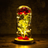 Valentine's Day-Encased Rose with LED light-Various Colors