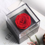 Valentine's Day-Encased Rose-Various Designs and Colors