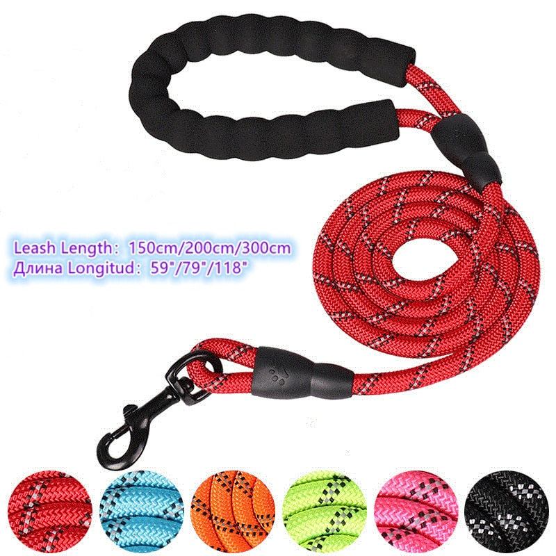 Strong and Sturdy Dog Leashes, Various Sizes