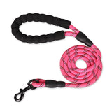 Strong and Sturdy Dog Leashes, Various Sizes