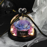 Valentine's Day-Encased Rose-Various Designs and Colors