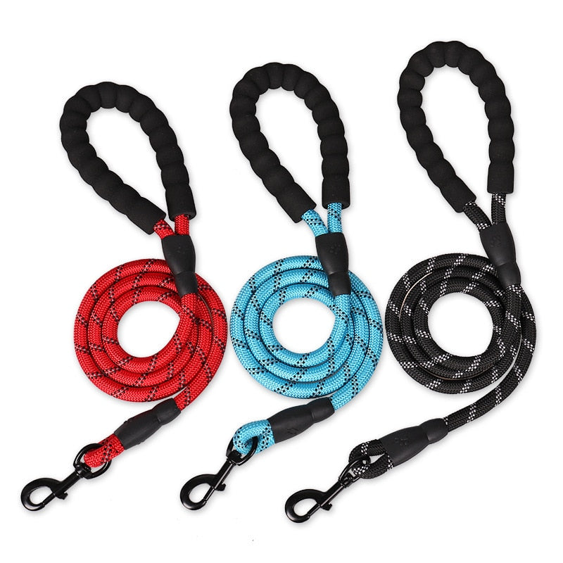 Strong and Sturdy Dog Leashes, Various Sizes