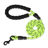 Strong and Sturdy Dog Leashes, Various Sizes