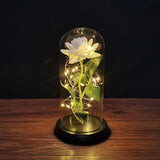 Valentine's Day-Encased Rose with LED light-Various Colors