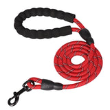 Strong and Sturdy Dog Leashes, Various Sizes