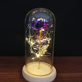 Valentine's Day-Encased Rose with LED light-Various Colors