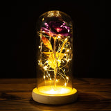 Valentine's Day-Encased Rose with LED light-Various Colors