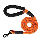 Strong and Sturdy Dog Leashes, Various Sizes