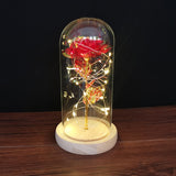 Valentine's Day-Encased Rose with LED light-Various Colors