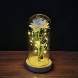 Valentine's Day-Encased Rose with LED light-Various Colors