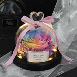 Valentine's Day-Encased Rose-Various Designs and Colors