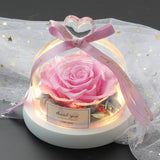 Valentine's Day-Encased Rose-Various Designs and Colors