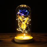 Valentine's Day-Encased Rose with LED light-Various Colors