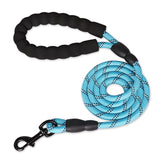 Strong and Sturdy Dog Leashes, Various Sizes