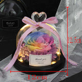 Valentine's Day-Encased Rose-Various Designs and Colors