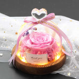 Valentine's Day-Encased Rose-Various Designs and Colors