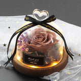 Valentine's Day-Encased Rose-Various Designs and Colors