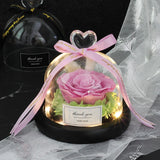 Valentine's Day-Encased Rose-Various Designs and Colors