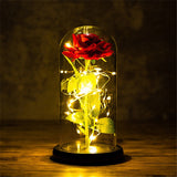 Valentine's Day-Encased Rose with LED light-Various Colors